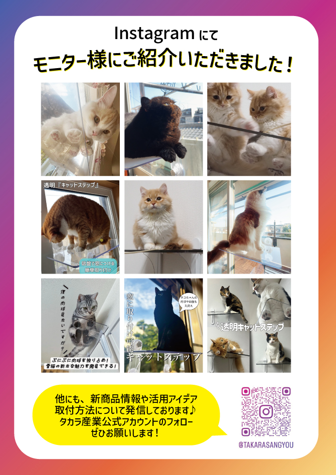 白猫バレリーナ 3点セット 楽天市場】 □お買い得セット・セール > バレエお買い得セット